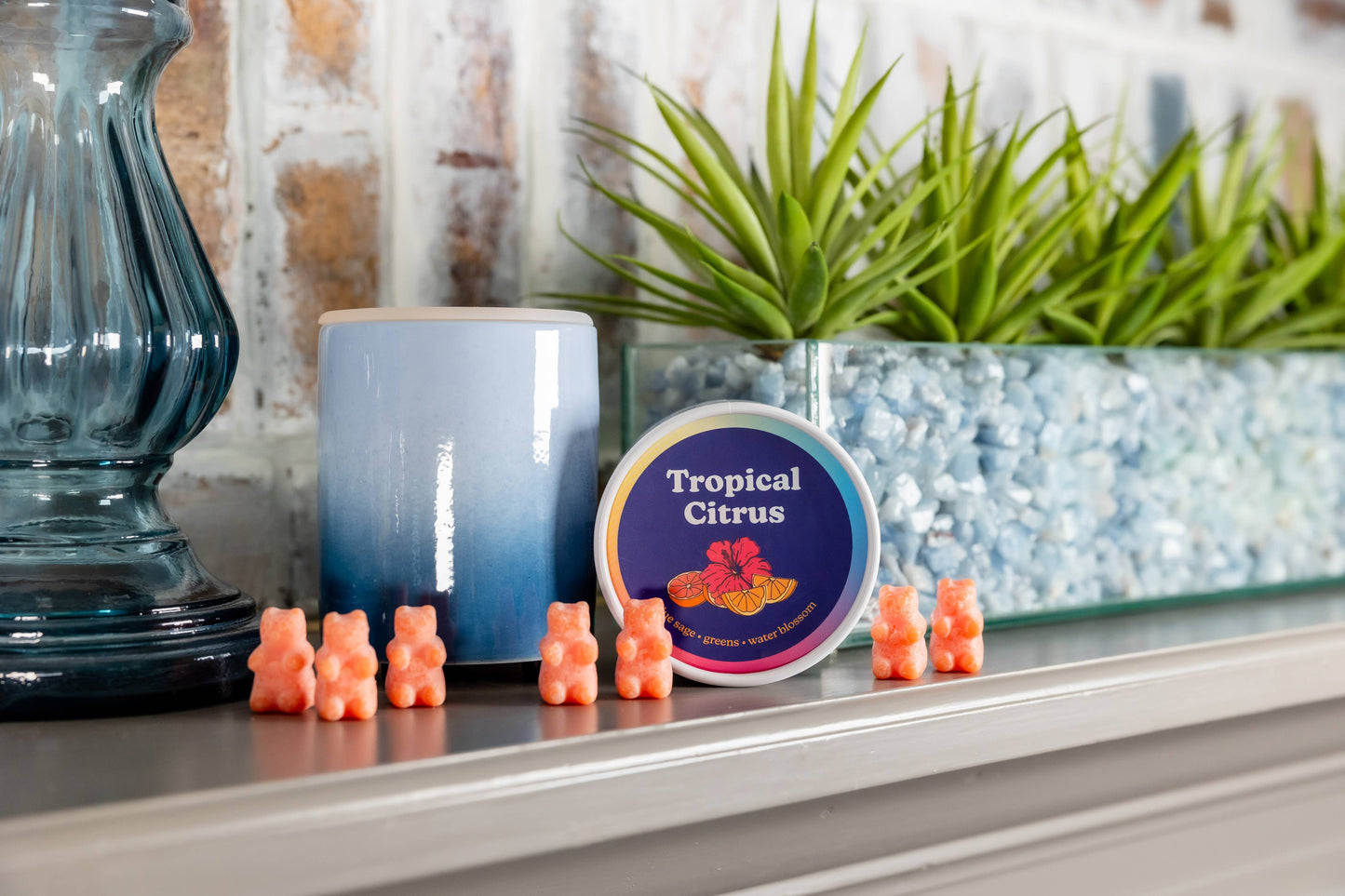 Tropical Citrus Wax Melts - 3.6oz Eco Tin