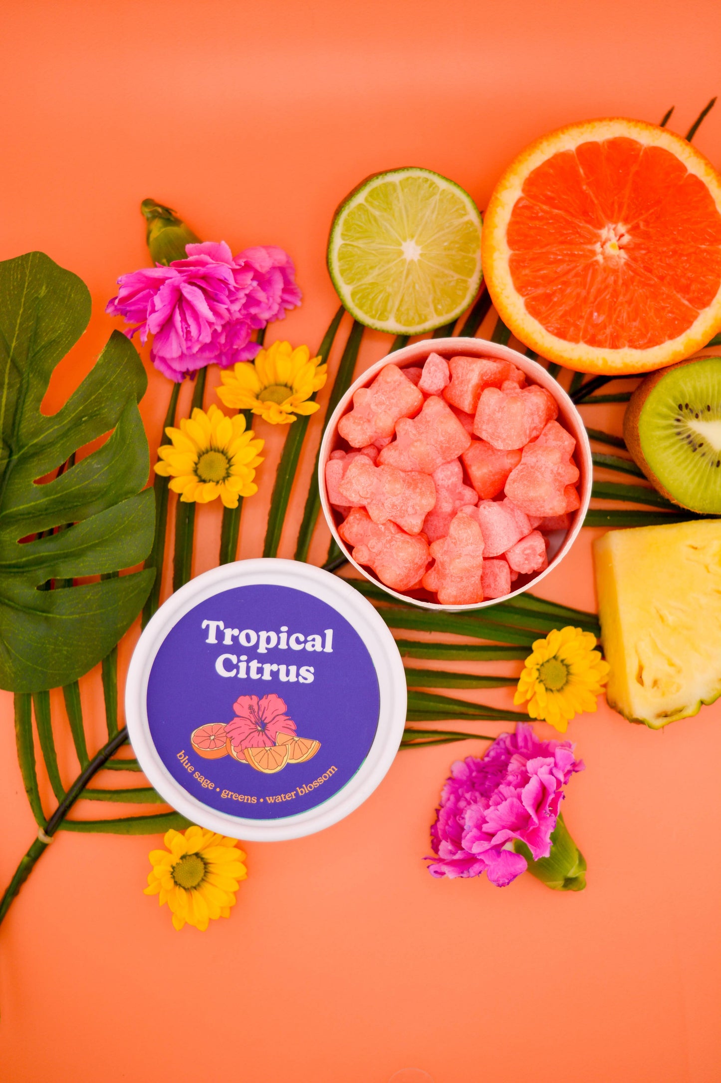Tropical Citrus Wax Melts - 3.6oz Eco Tin